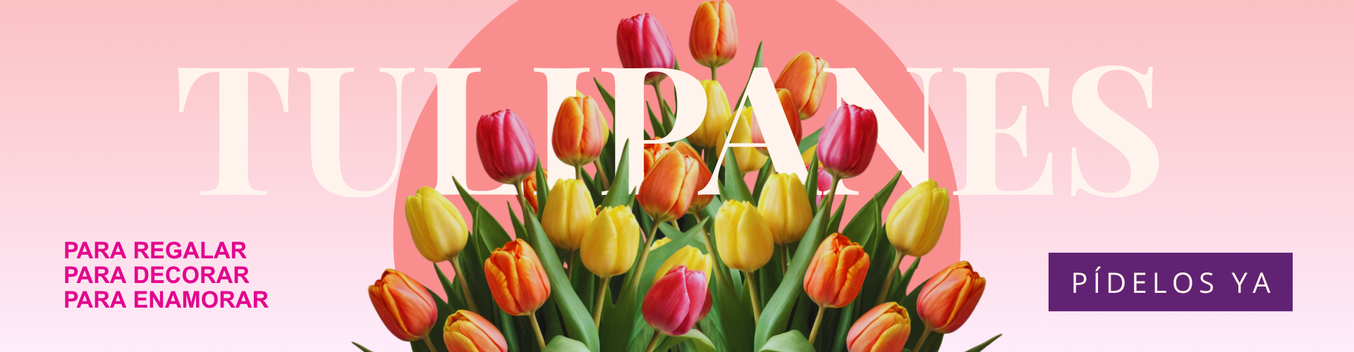 Tulipanes
